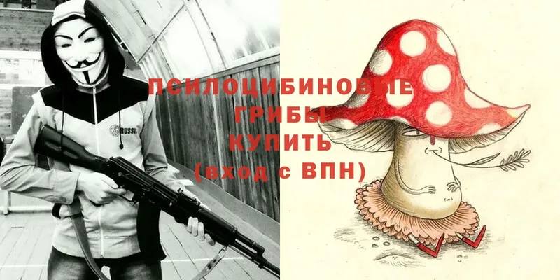 Псилоцибиновые грибы Magic Shrooms  Нефтекумск 